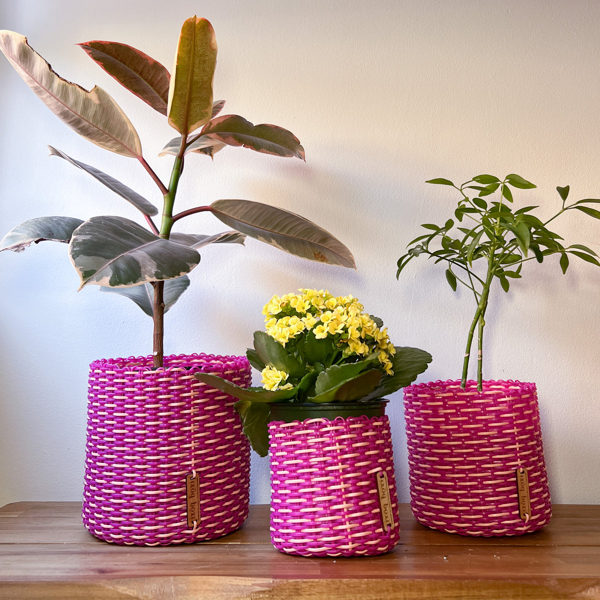 round 'catch all' / plant pots ~ interweave – IXOQ