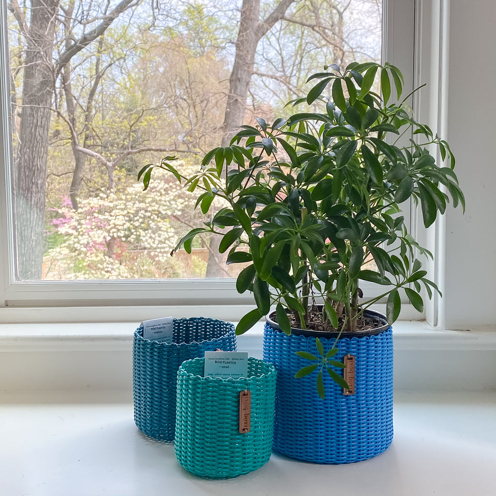 small wicker plant pots round 'catch all' / plant pots ~ single color – IXOQ
