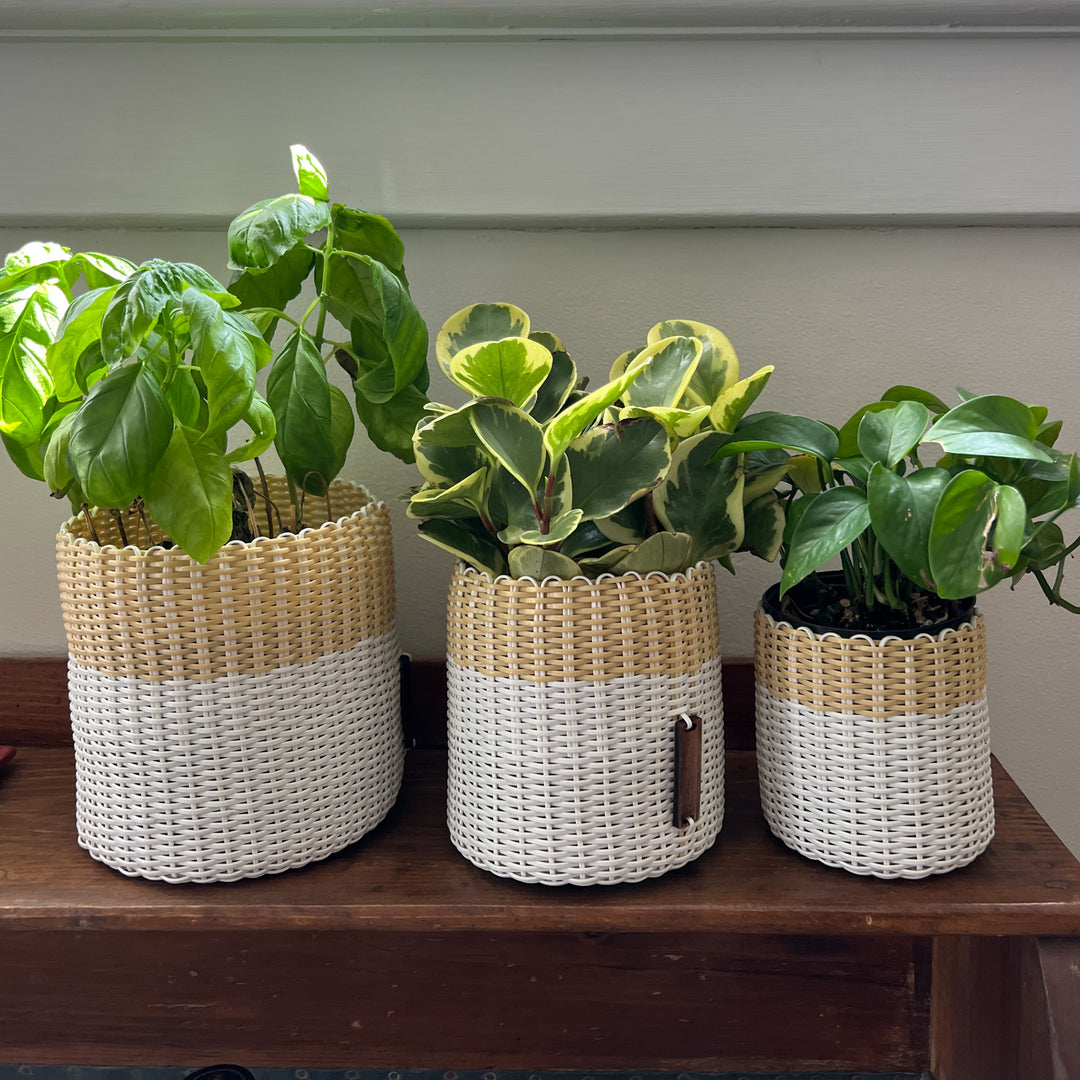 (wholesale) round 'catch all' / planters ~ color bands