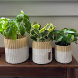 round 'catch all' / planters ~ color bands