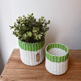 (wholesale) round 'catch all' / planters ~ color bands