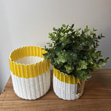 (wholesale) round 'catch all' / planters ~ color bands