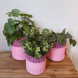 (wholesale) round 'catch all' / planters ~ color bands