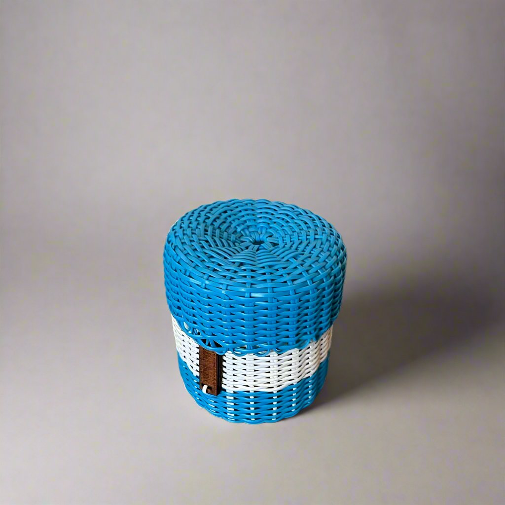 (wholesale) round 'catch all' with lid ~ 2 color block