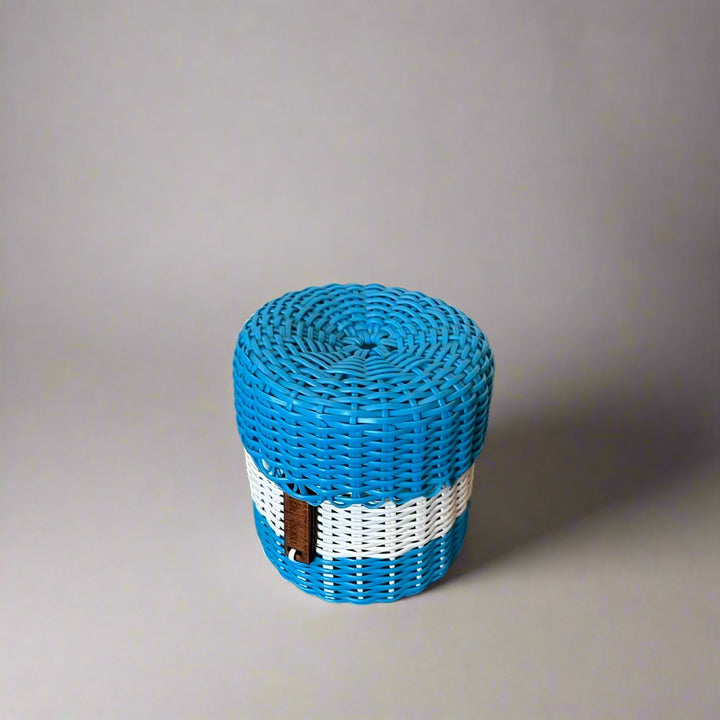 (wholesale) round 'catch all' with lid ~ 2 color block