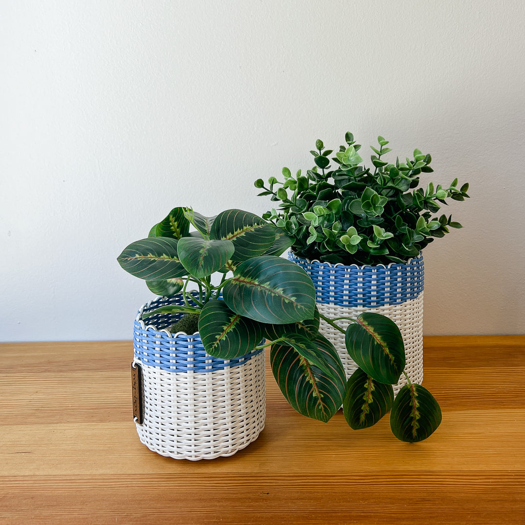 (wholesale) round 'catch all' / planters ~ color bands
