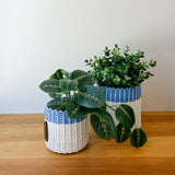 round 'catch all' / planters ~ color bands