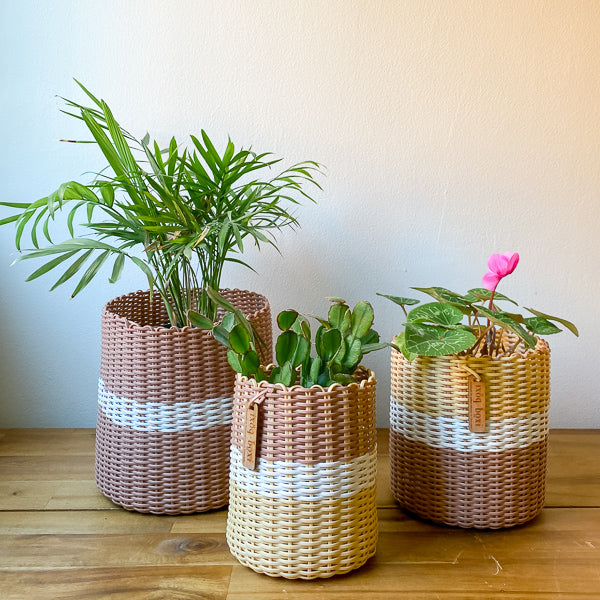 two tone plant pots round 'catch all' / plant pots ~ two tone