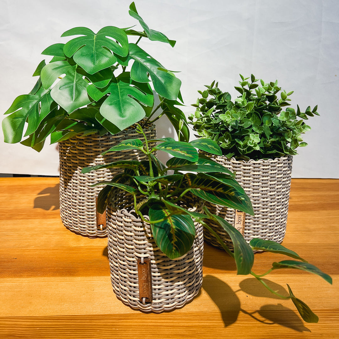 (wholesale) round 'catch all' / planters ~ interweave