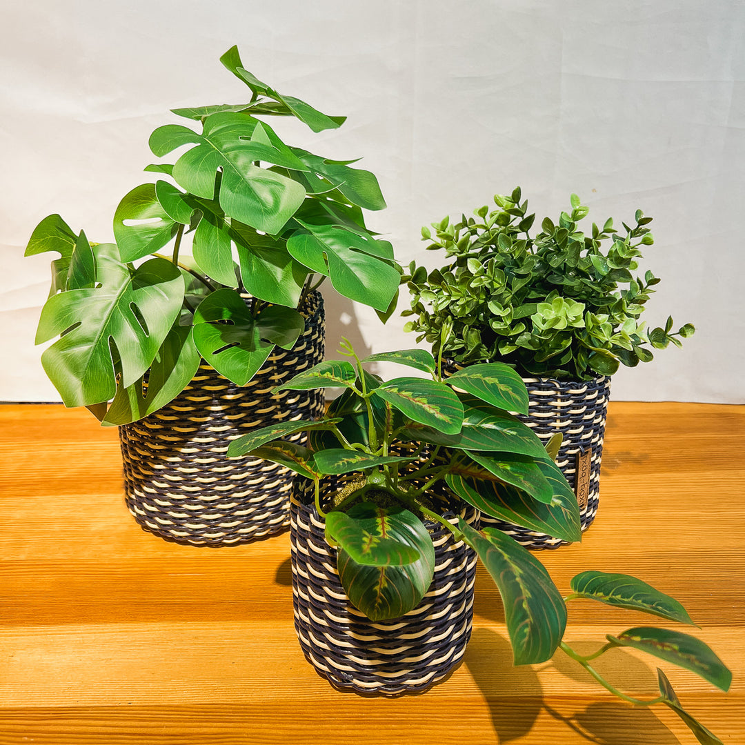 (wholesale) round 'catch all' / planters ~ interweave