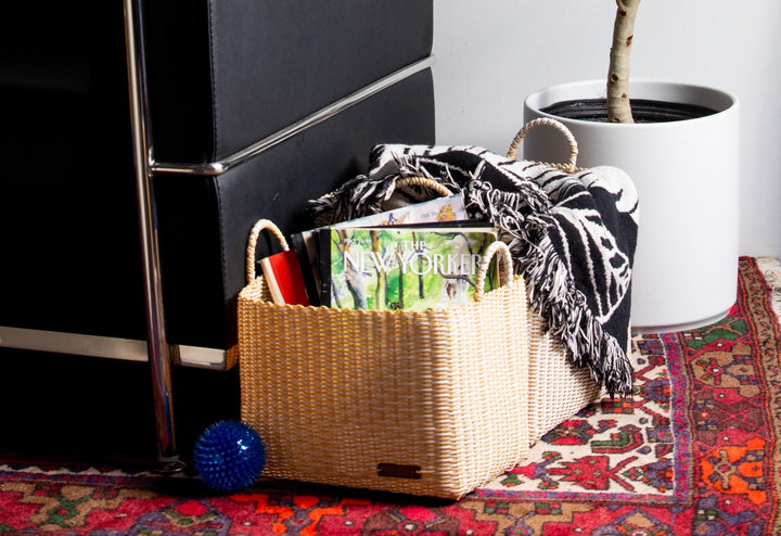 XL boxi storage bins