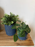 round 'catch all' / plant pots ~ interweave