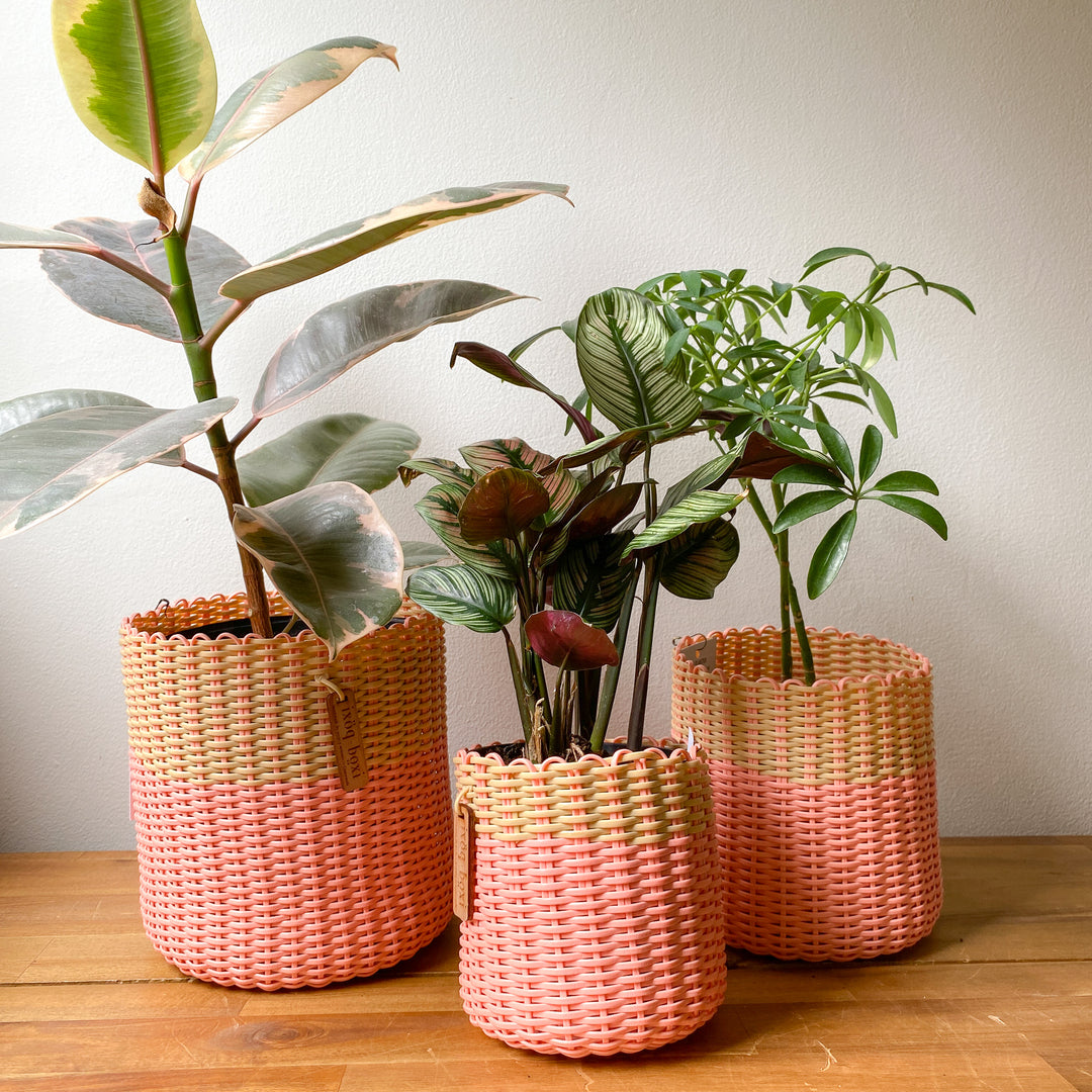 (wholesale) round 'catch all' / planters ~ color bands