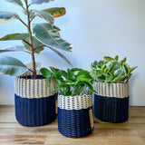 round 'catch all' / planters ~ color bands