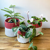 round 'catch all' / planters ~ color bands