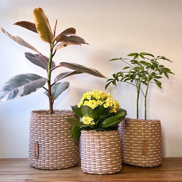 (wholesale) round 'catch all' / planters ~ interweave