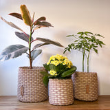 round 'catch all' / planters ~ interweave