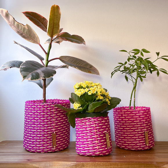 round 'catch all' / planters ~ interweave