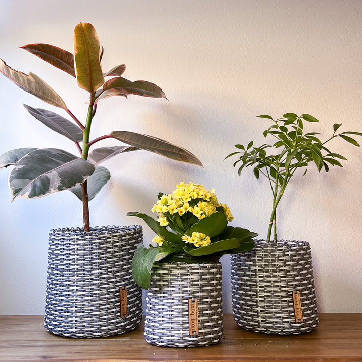 (wholesale) round 'catch all' / planters ~ interweave
