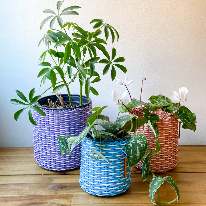 (wholesale) round 'catch all' / planters ~ interweave