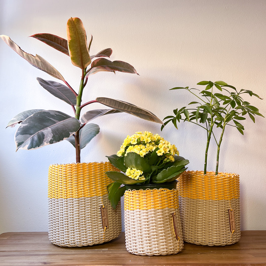 (wholesale) round 'catch all' / planters ~ color bands