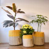 round 'catch all' / planters ~ color bands