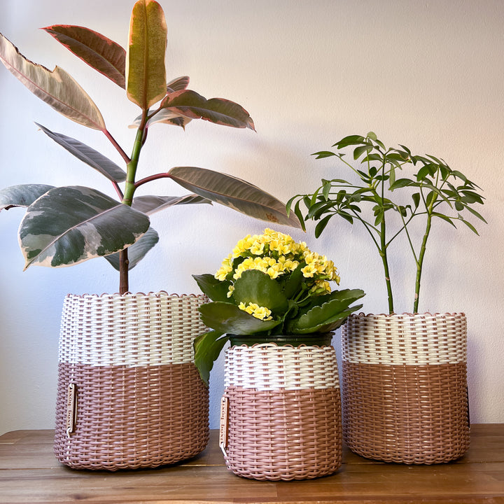 (wholesale) round 'catch all' / planters ~ color bands