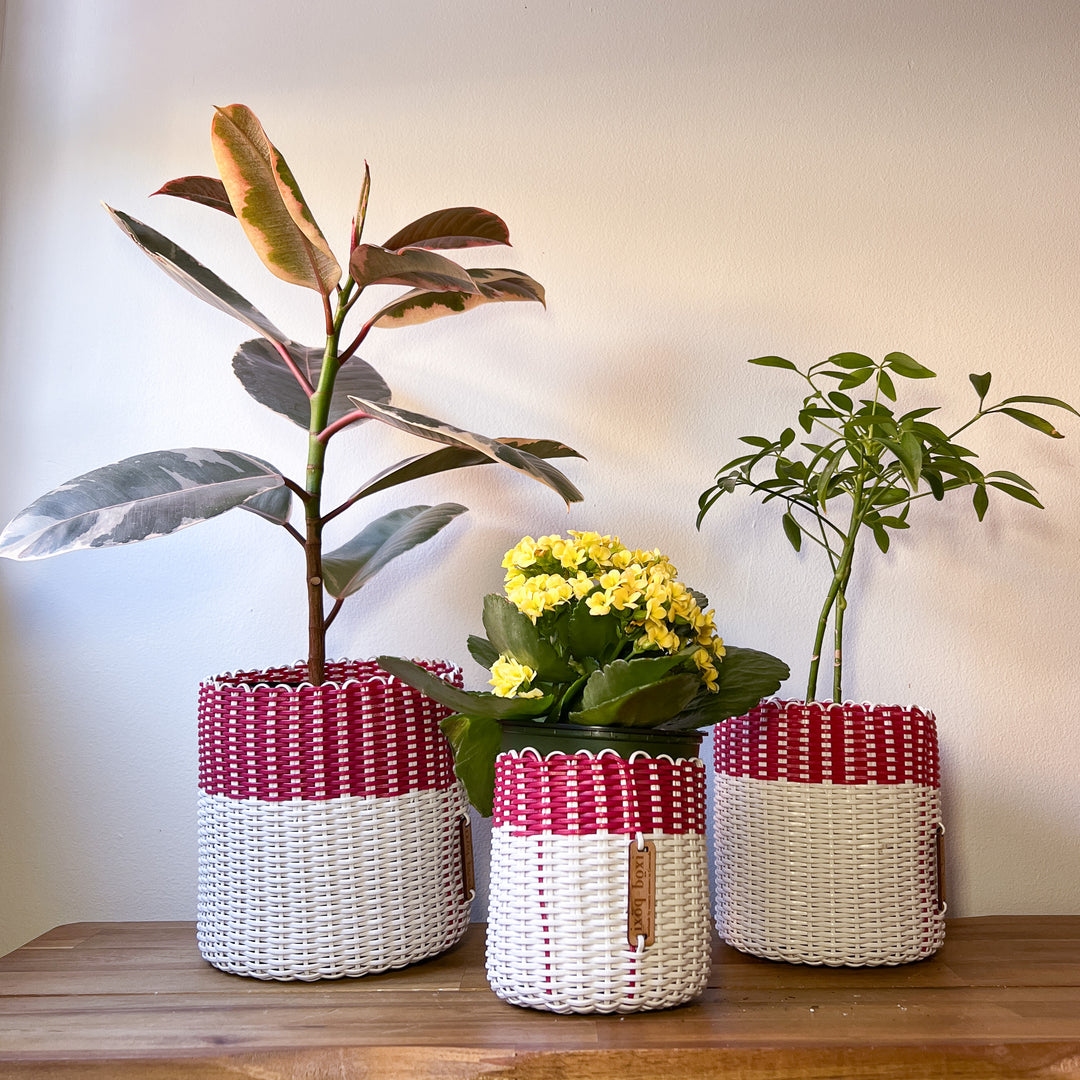 (wholesale) round 'catch all' / planters ~ color bands