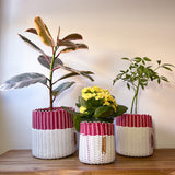 round 'catch all' / planters ~ color bands