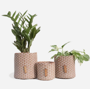 IXOQ Boxi recycled plastic container - planter (SOLD THRU J.CREW)