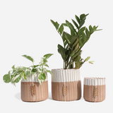 IXOQ Boxi recycled plastic container - planter (SOLD THRU J.CREW)