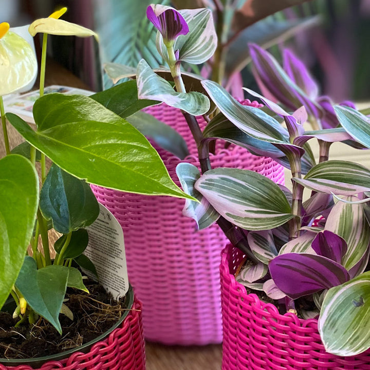 round 'catch all' / plant pots ~ single color