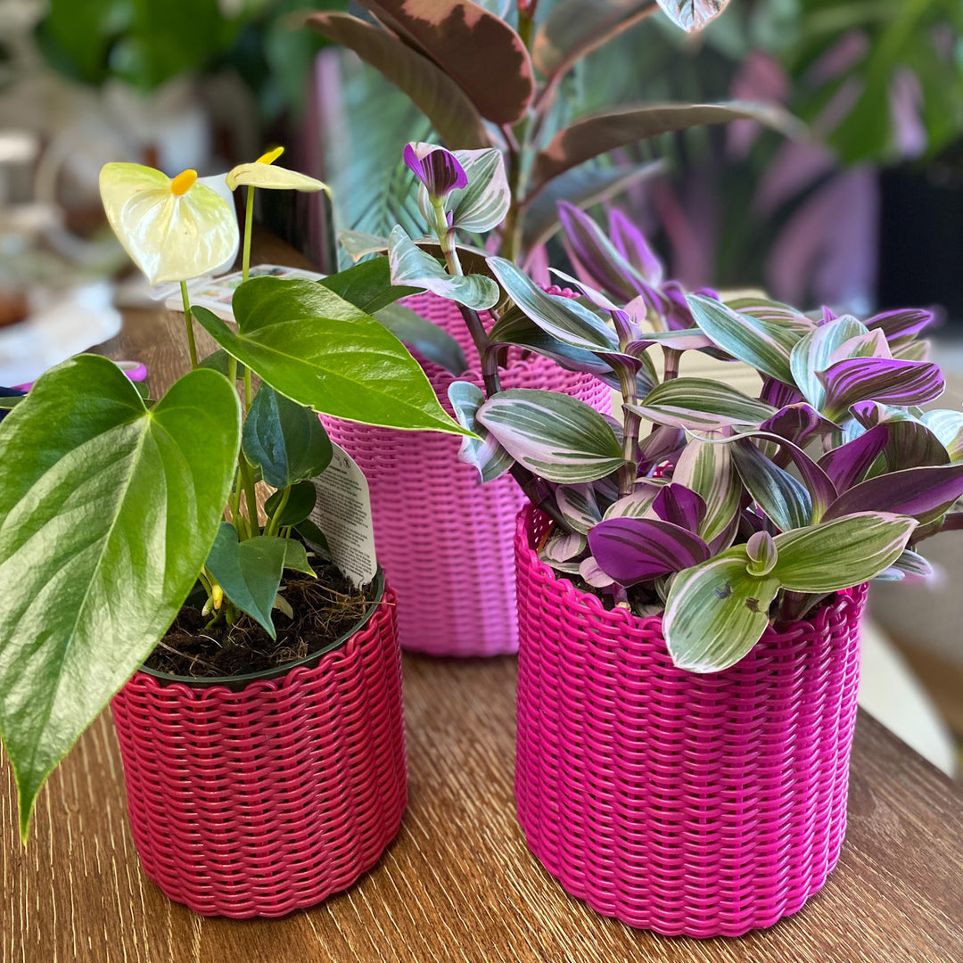round 'catch all' / plant pots ~ single color