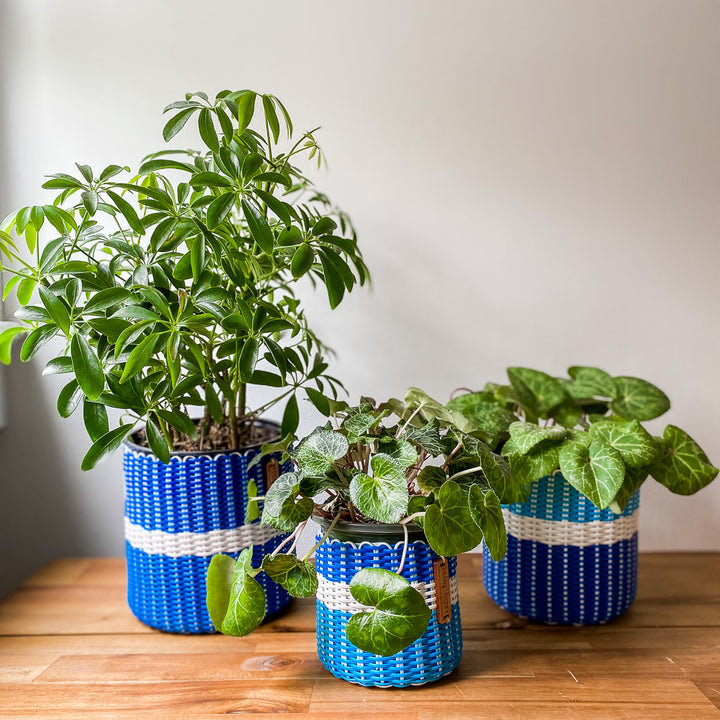 round 'catch all' / plant pots ~ two tone