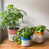 round 'catch all' / planters ~ color bands