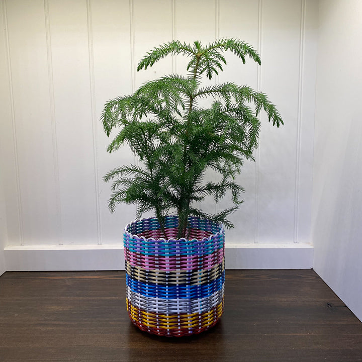 (wholesale) round 'catch all' / planters ~ multicolor stripes