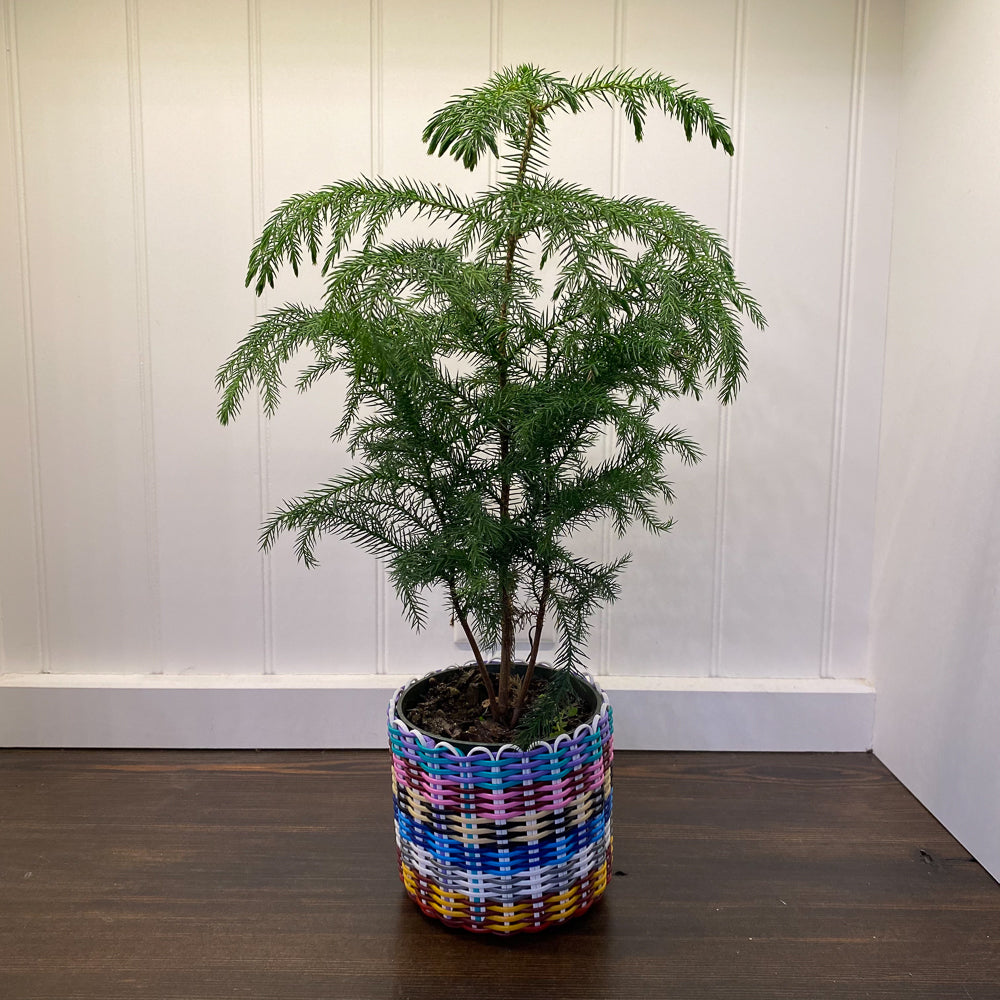 (wholesale) round 'catch all' / planters ~ multicolor stripes