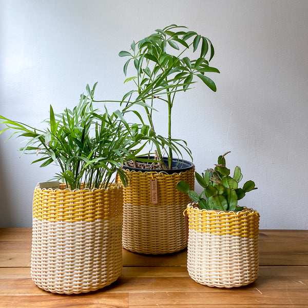 (wholesale) round 'catch all' / planters ~ color bands