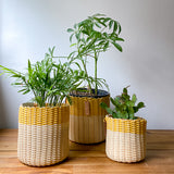 round 'catch all' / planters ~ color bands