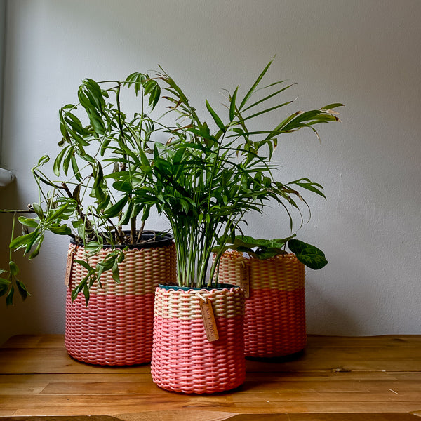 (wholesale) round 'catch all' / planters ~ color bands