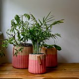 round 'catch all' / planters ~ color bands