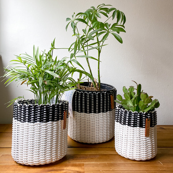 (wholesale) round 'catch all' / planters ~ color bands