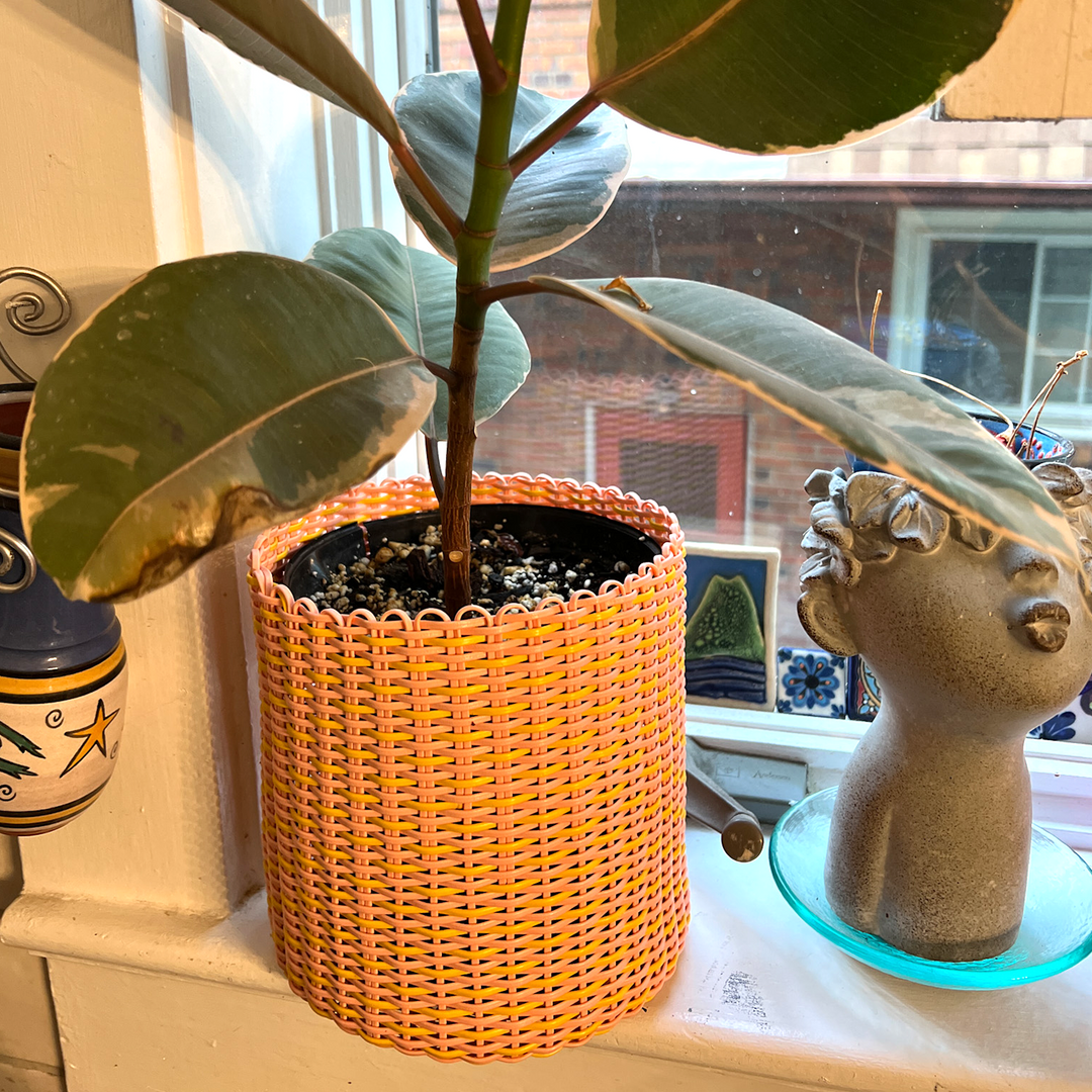 (wholesale) round 'catch all' / planters ~ interweave