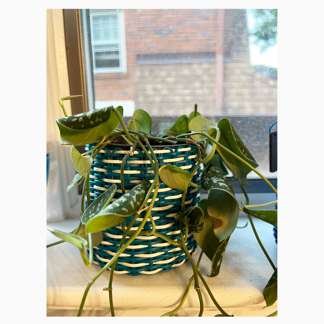 (wholesale) round 'catch all' / planters ~ interweave