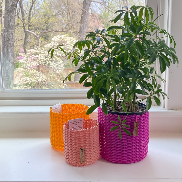 round 'catch all' / plant pots ~ single color