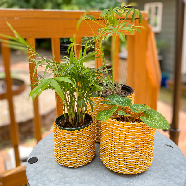 (wholesale) round 'catch all' / planters ~ interweave