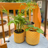 round 'catch all' / planters ~ interweave