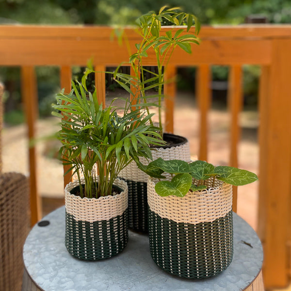 (wholesale) round 'catch all' / planters ~ color bands