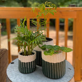 round 'catch all' / planters ~ color bands