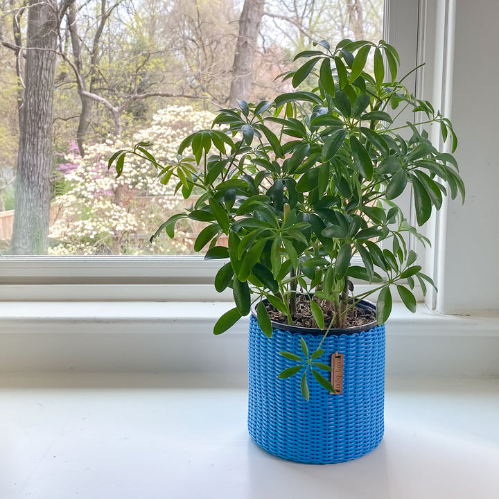 round 'catch all' / plant pots ~ single color